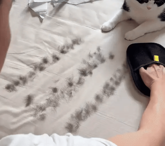Pet Hair Removal Cleaning Gloves by SNUK®