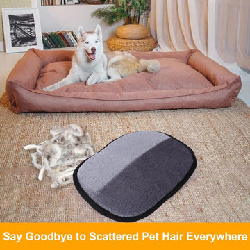 Transform Your Home Into a Pet-Hair-Free Haven