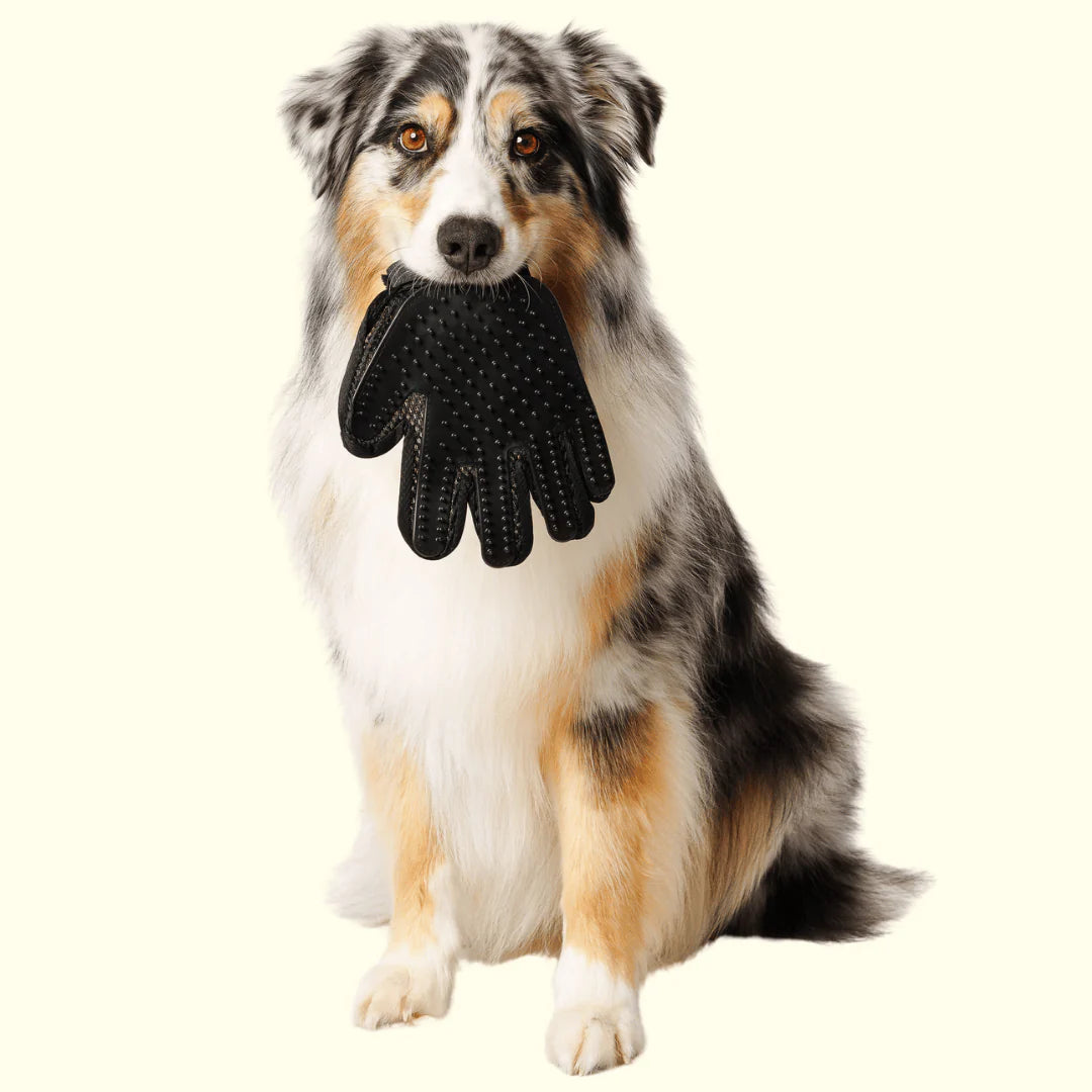 SNUK™️ Pet Scrub Gloves
